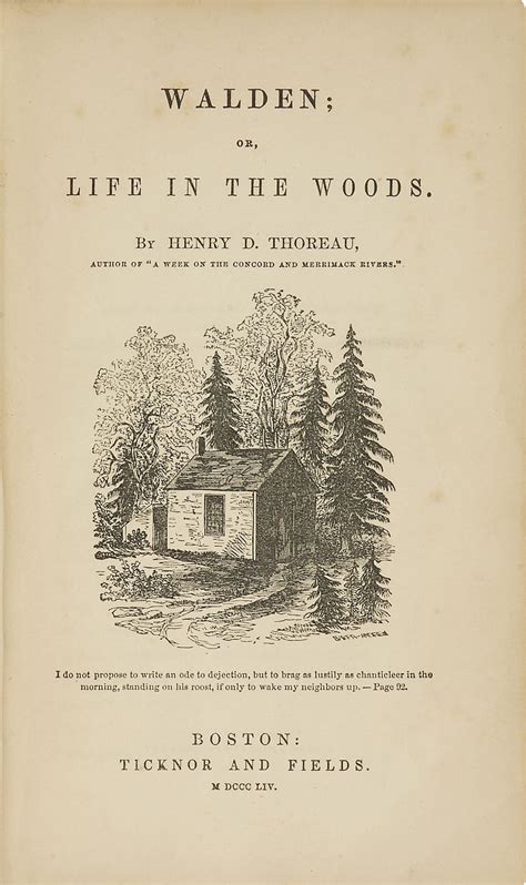 Captivating minds and inspiring souls: The magic of Walden's prose